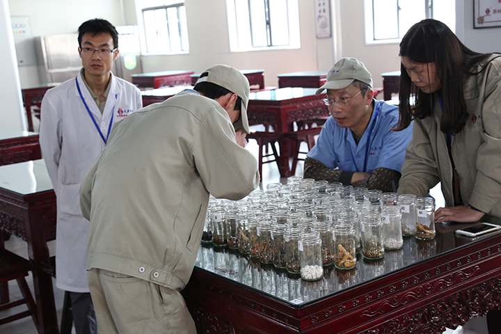 五月的掌聲 ——天靈中藥第二屆認(rèn)藥大賽(圖3) 五月的掌聲 ——天靈中藥第二屆認(rèn)藥大賽(圖3)