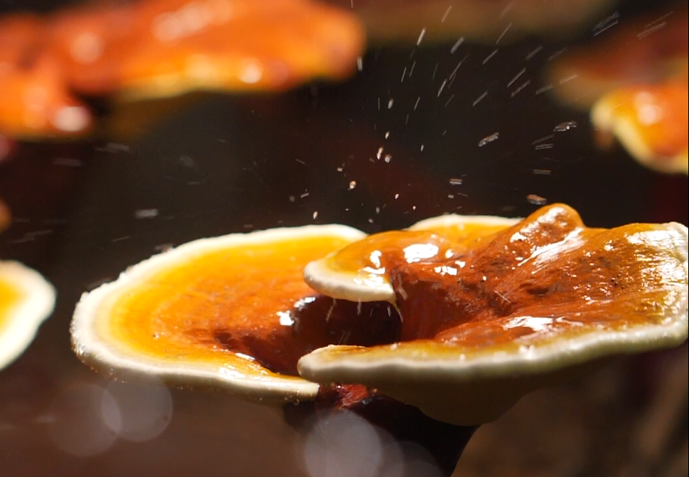 1-220212153441W8.jpg 1-220212153441W8.jpg